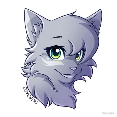 Combien ont-ils de chatons ?