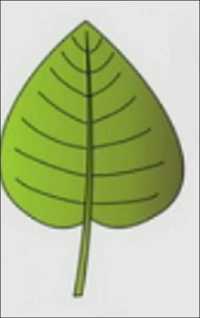 Quelle est cette forme ?