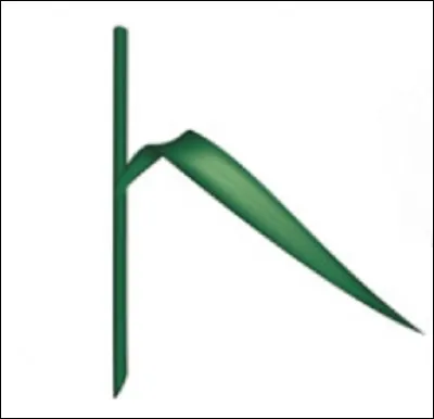 Quelle est cette forme ?