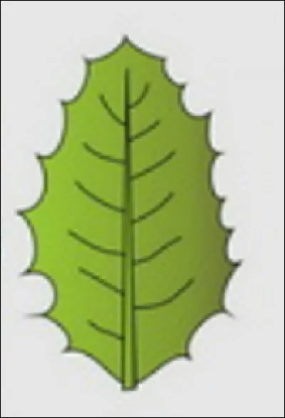 Quelle est cette forme ?