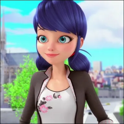 Marinette est amoureuse de...
