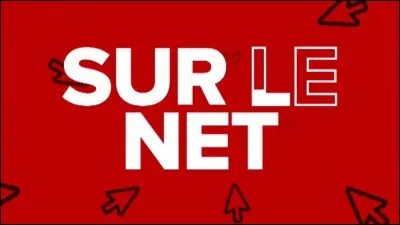 Quelle est la durée moyenne passée à surfer sur le net dans une vie ?