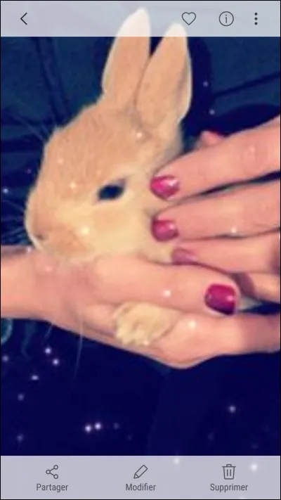 Comment leur lapine s'appelle-t-elle ?