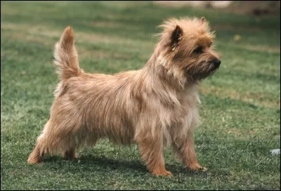 Comment se nomme celui-là ?