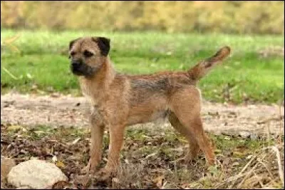 Comment nommer celui-ci ?