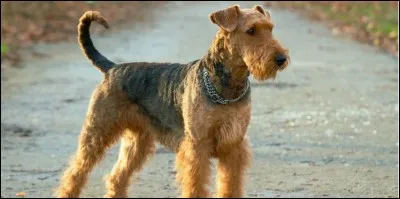 En voici un qui ressemble à celui de la question précédente, saurez-vous le différencier ?