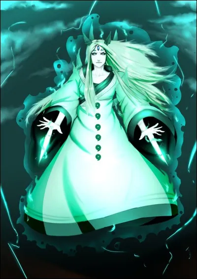 Qu'est-ce que le Tenseigan ?