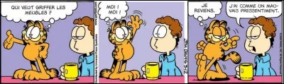Dans la bande dessinée "Garfield", comment s'appelle le maître de ce dernier ?