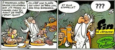 C'est aussi grâce à la curiosité d'Astérix que nous apprenons l'origine d'un ingrédient presque miraculeux : Lequel ?