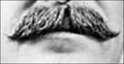 A qui appartient cette moustache ?