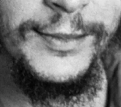 A qui appartient cette moustache ?