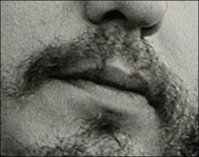 A qui appartient cette moustache ?