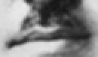 A qui appartient cette moustache ?