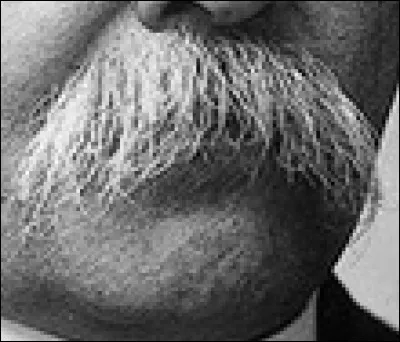 A qui appartient cette moustache ?