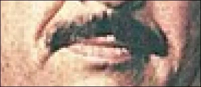 A qui appartient cette moustache ?