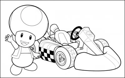 De quelle couleur est son kart dans le jeu « Mario Kart Wii » ?