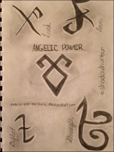 Comment appelle-t-on les signes que les Shadowhunters ont sur la peau ?