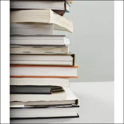 La nouvelle est un genre littéraire qui prit une grande importance grâce à la presse.