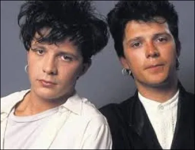 Comment s'appelle le frère jumeau de Nicola Sirkis ?