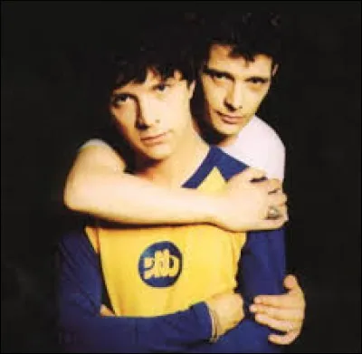 En quelle année le frère jumeau de Nicola Sirkis meurt-il suite à une hépatite foudroyante ?