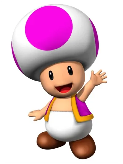 Quelle est la couleur de ce champignon ?