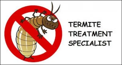 Cette sale bestiole est-elle du genre masculin ou féminin ?