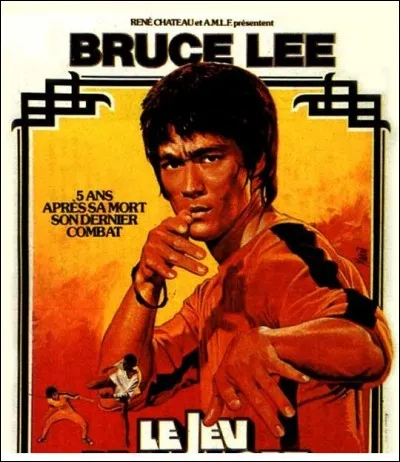 En 1972, un an avant sa mort, Bruce Lee débuta le tournage de ce film. Il fut repris quelques années plus tard pour ne sortir qu'en 1978, sur les écrans. Cela s'intitule : "Le Jeu ..."