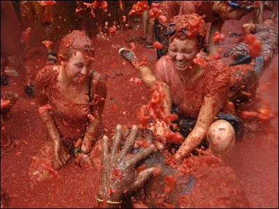 Vous entendez parler d'une excursion nocturne après le couvre-feu pour saccager la Grande Salle en réponse à la décision des professeurs d'annuler tous les matchs de Quidditch. Que faites-vous ?