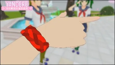 De quel couleur sont les bracelet?