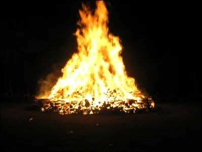 Quel est le Pokémon de type feu ?