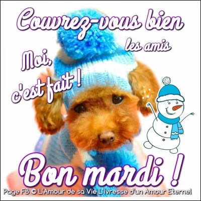 Comment dit-on mardi en anglais ?