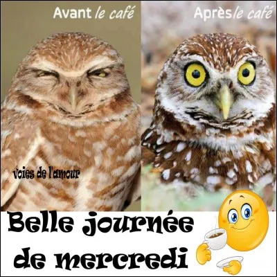 Comment dit-on mercredi en anglais ?