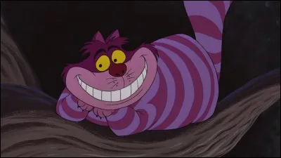 Comment se nomme ce chat ?