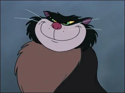 Hou le vilain chat ! Comment se nomme-t-il ?