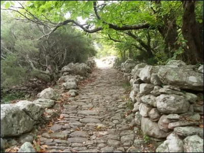 Laquelle de ces chansons ne fait pas partie de sa discographie ?