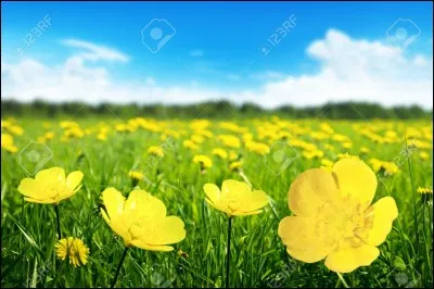 Dans l'une de ses chansons, il veut : 

« Mourir...