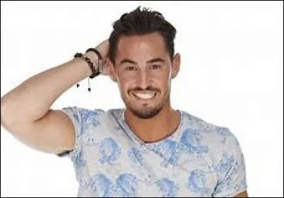 Par qui Rémy est-il attiré au début de l'aventure ?