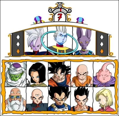 De quel univers vient Zoiray ?