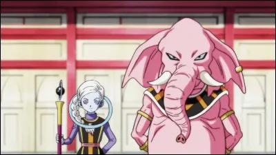 Quel animal est le Dieu de la Destruction de l'univers 8 ?