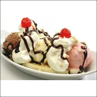 Quelle est sa composition ?