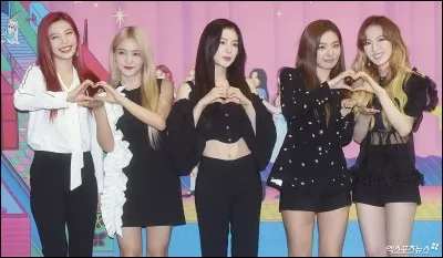 Avec qui aimerais-tu partir en voyage ?