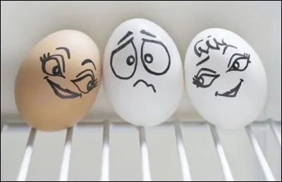 Quel est le nom scientifique pour "blanc d'oeuf" ?