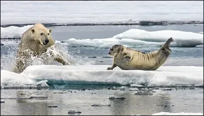 Trouvez la bonne réponse, ne soyez pas frileux !