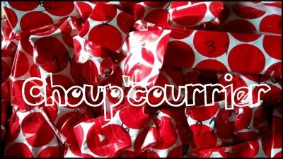 Combien de vidéos "Choup'courrier" a-t-elle faite ?