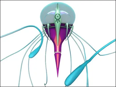 Que combattait William lorsque la Méduse l'a attrappé ?