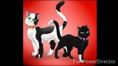 Fléau avait déjà vu Étoile du Tigre avant leur alliance.