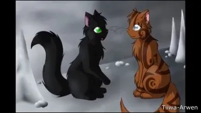 Pelage d'Orage est tombée amoureux de Mésange Portée par le Vent ( tribu de l'Eau Vive ).