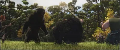 Quels sont ses objectifs ?