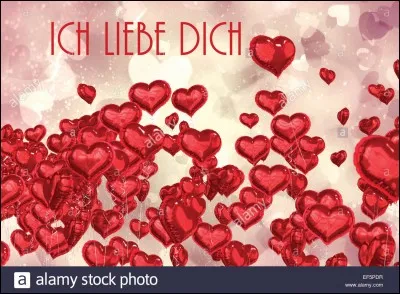 Que peut-on lire sur cette image ?