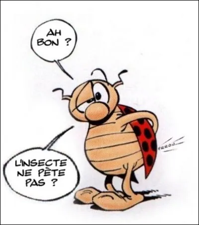 6. Les termites > Là - et quoique vos ouïe et odorat ne puissent vous aider - il va bien falloir voir entre ces 3 lignes ! Laquelle ?